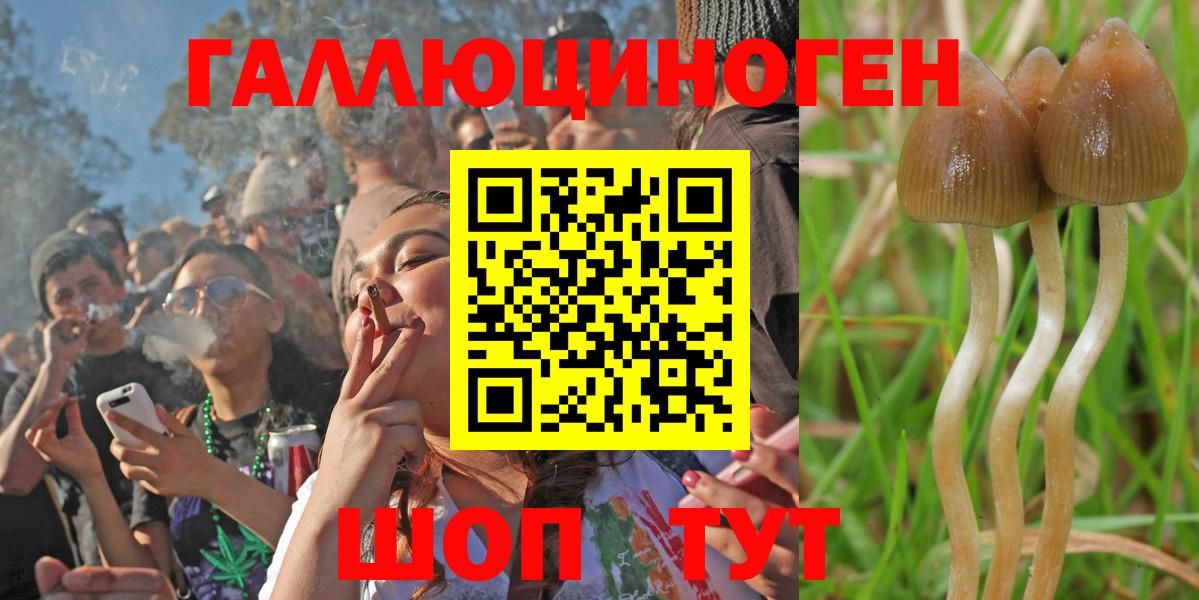 Галлюциногенные грибы Magic Shrooms Пушкино