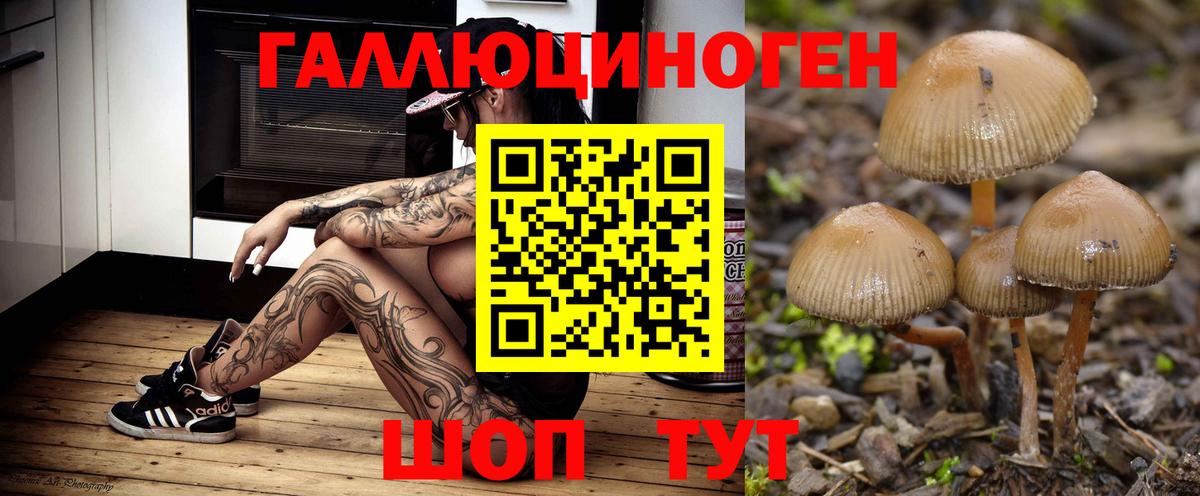 сколько стоит  Псилоцибиновые грибы прущие грибы  Псилоцибиновые грибы ЛСД  Вход с VPN  Пушкино 